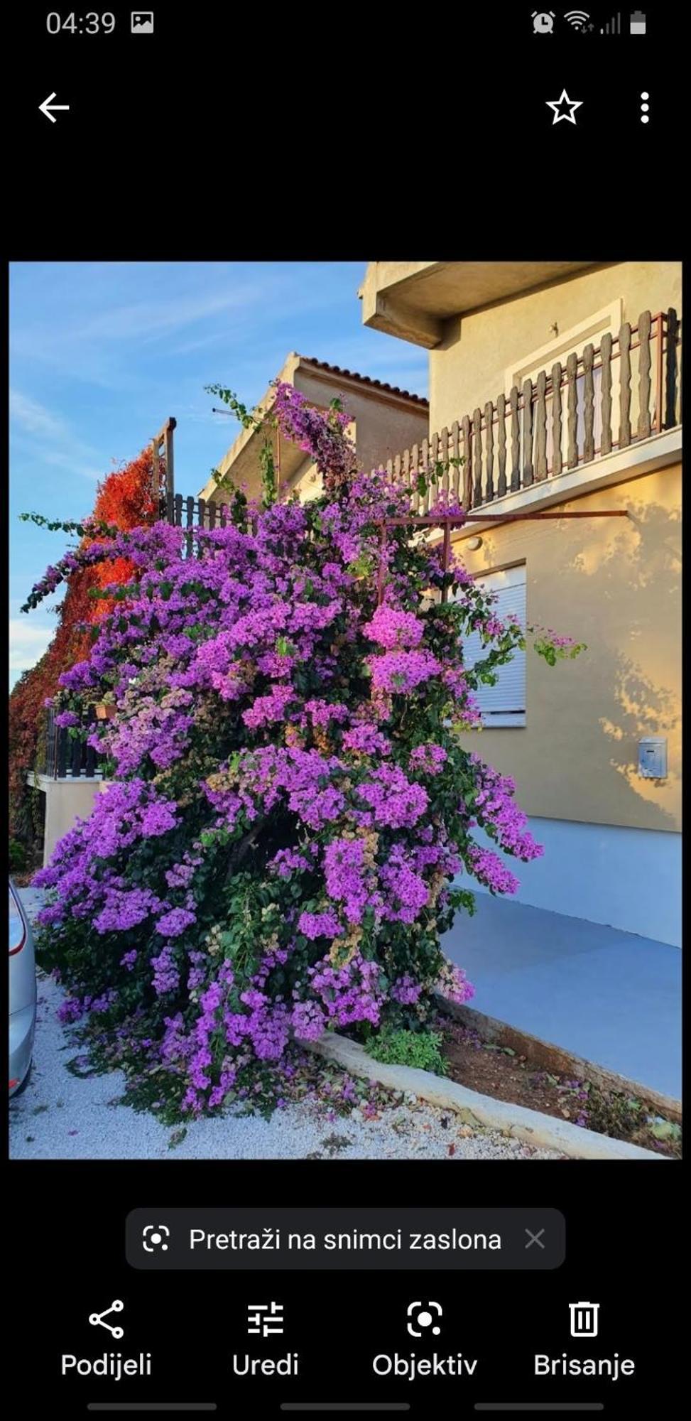 Antonio Hotel Bibinje Exterior photo